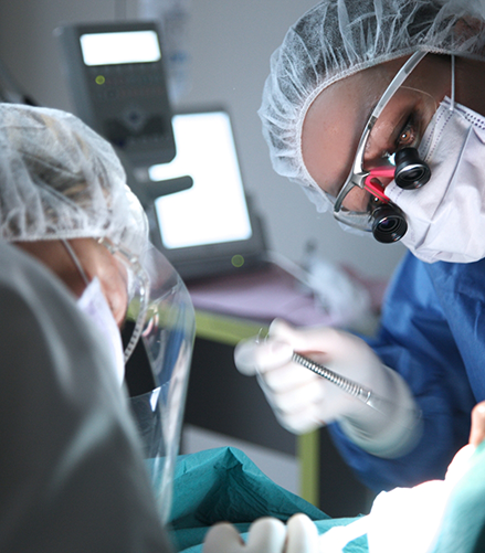 Dentist and assistant performing a dental treatment on a patient